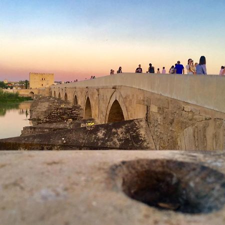 Ribera Del Quivir Lägenhet Córdoba Exteriör bild